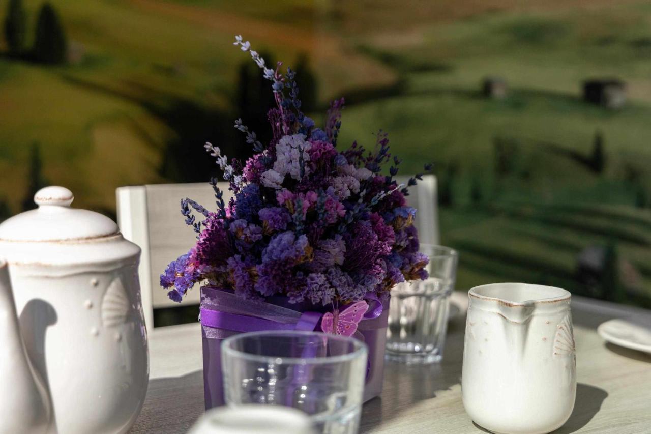 וילה נובה דה גאיה Violet House Your Place To Stay מראה חיצוני תמונה